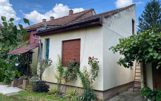 Casa de vanzare in Satu Mare, Str Zutphen. - Poză 2