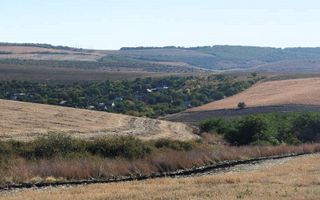 Oportunitate de investiție! Teren agricol  – Extravilan, 216 ari – or. Sîngera, mun. Chișinău - Poză 4