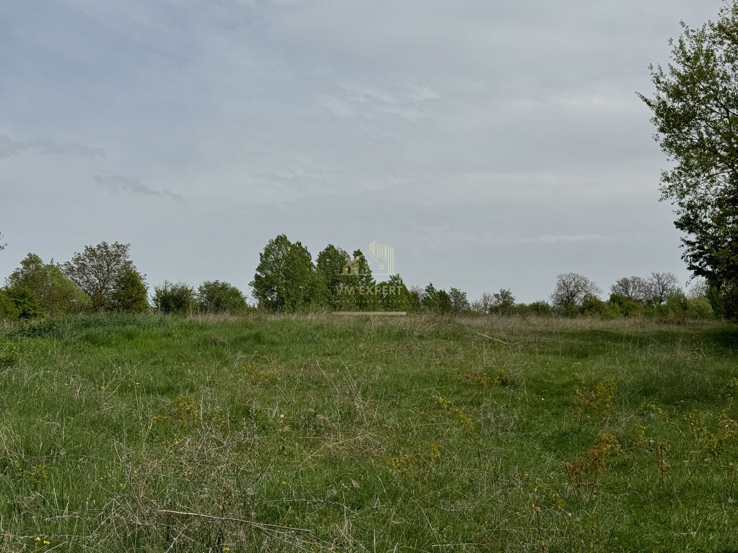 TEREN INTRAVILAN, 7472 MP, VALEA MARE PRAVAT, ARGES - Poză 3