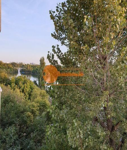 Studio Modern cu Vedere la lacul Herastrau - Poză 15