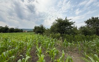 Casa batraneasca, 22 km de Iasi, 5546 mp teren, Osoi - Comarna - Poză 2