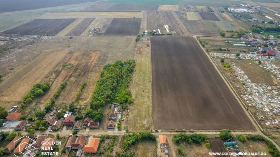 Teren intravilan, 14900 mp, Curtici - Poză 5