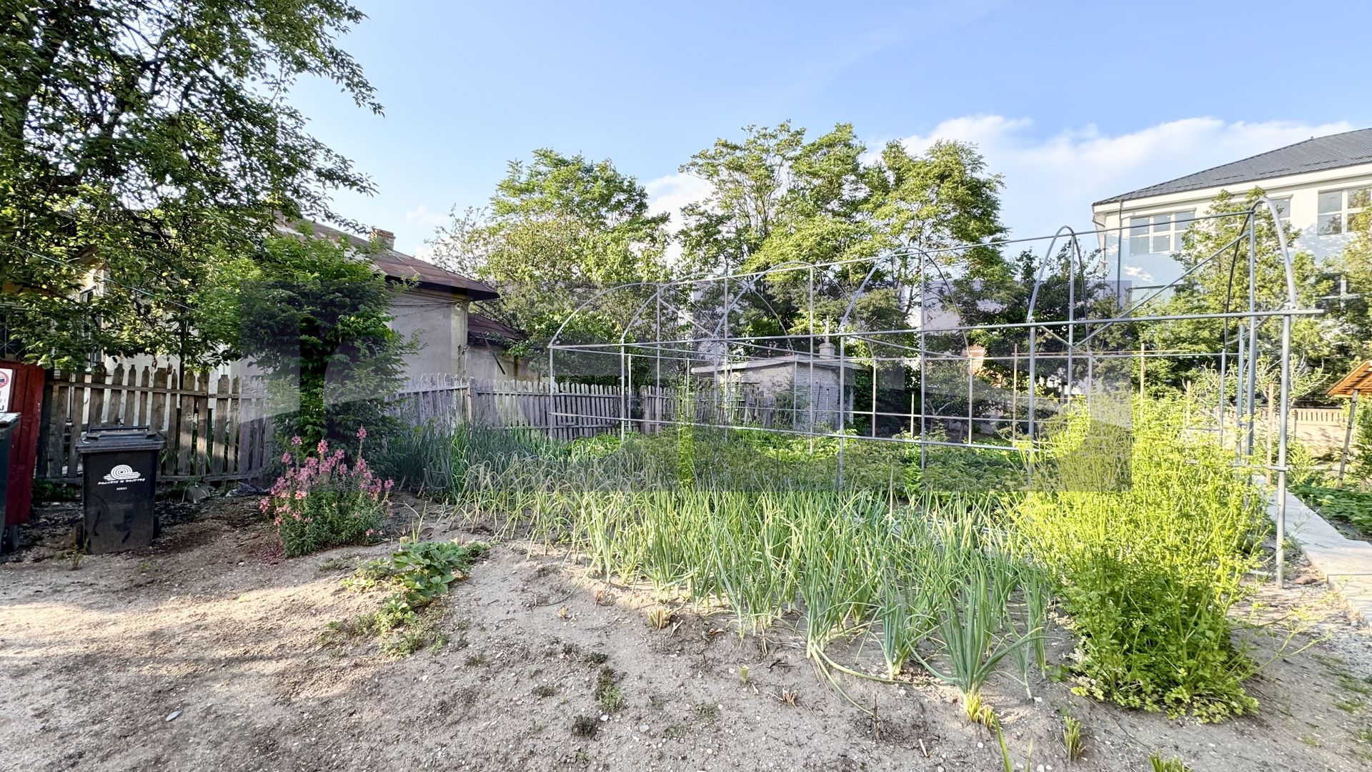 VANZARE TEREN 452 MP | CARPATI | SPITAL - Poză 4