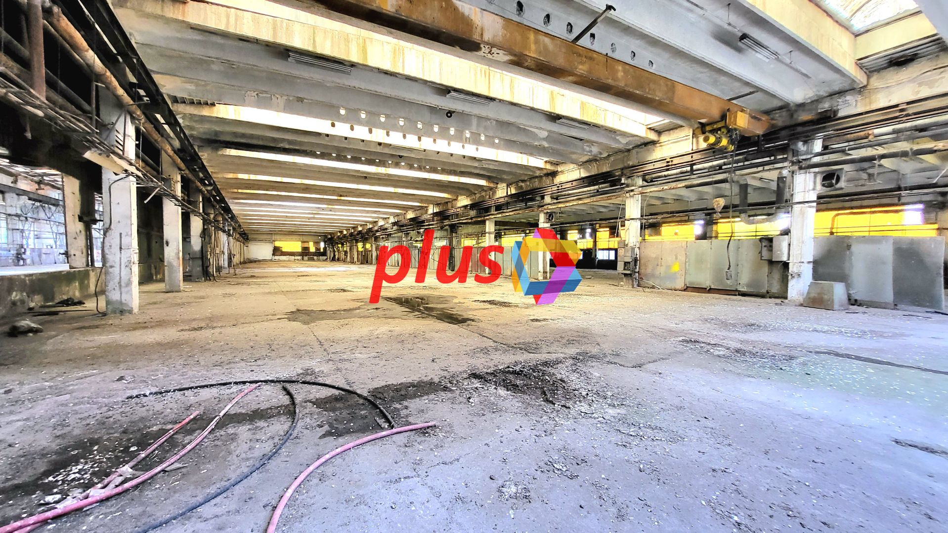 Hala - 2000 mp  # plus-imo.ro - Poză 7