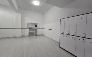 Spațiu comercial -  Vitrina-  Baza 3/ Carrefour Felicia - Poză 6