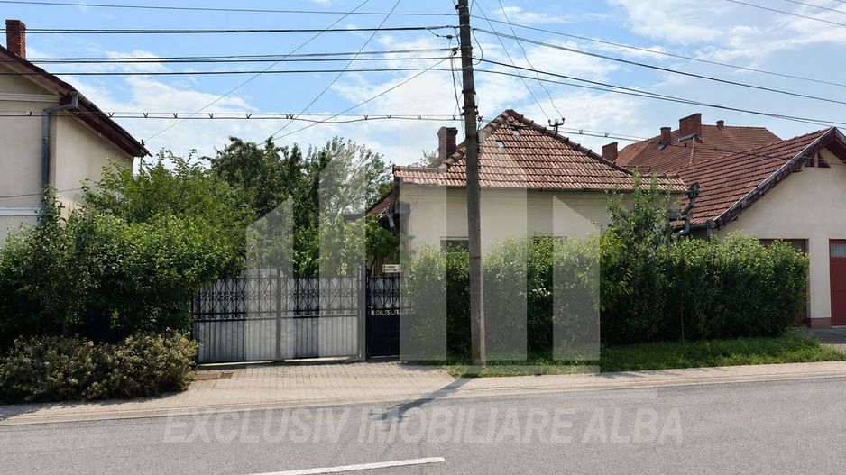 Casa individuala de vanzare, Cetate - Poză 1