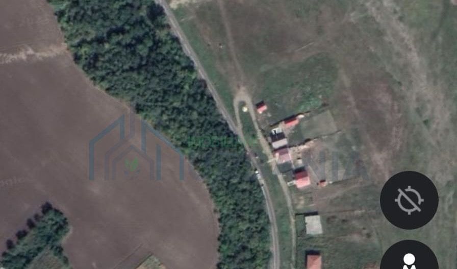 Teren cu pădure de salcâm de vânzare în Târgu Frumos, comuna Țigănași – ideal pentru apicultură - Poză 1