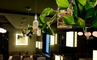 OPORTUNITATE VANZARE - INCHIRIERE VILA RESTAURANT | GRADINA ICOANEI | - Poză 5