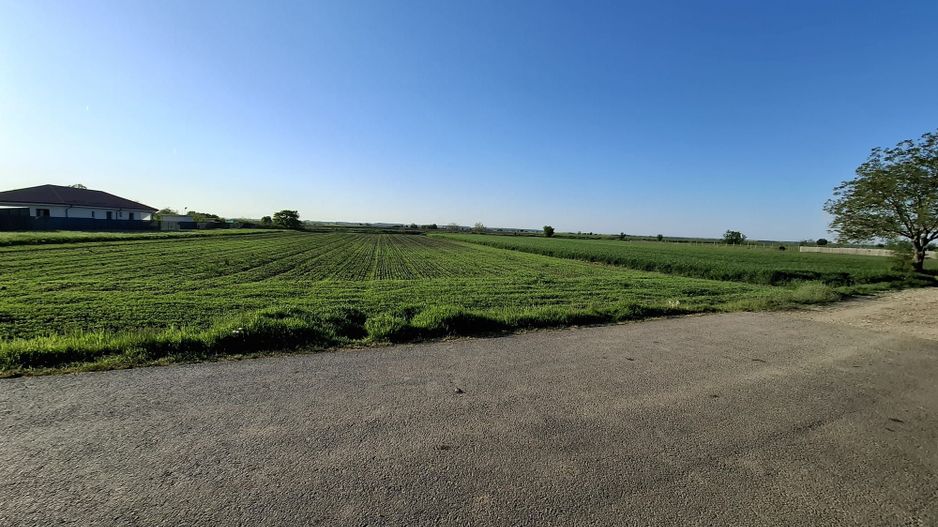 DÂRZA - TEREN INTRAVILAN - Poză 3