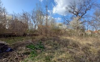 Teren Intravilan 5.147mp | Zonă rezidențială | B-dul Victoriei - Poză 3