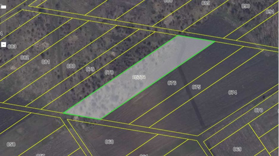 De vânzare – Teren agricol 40 ari, Cimișlia - Poză 1