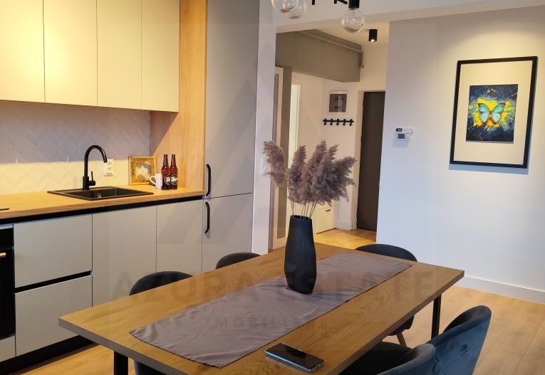 Apartament premium prima inchiriere balcon 12 mp utili Doamna Stanca - Poză 2