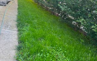 Apartament 3 camere | Gradina | Parcare | Renovat | Selimbar - Poză 19