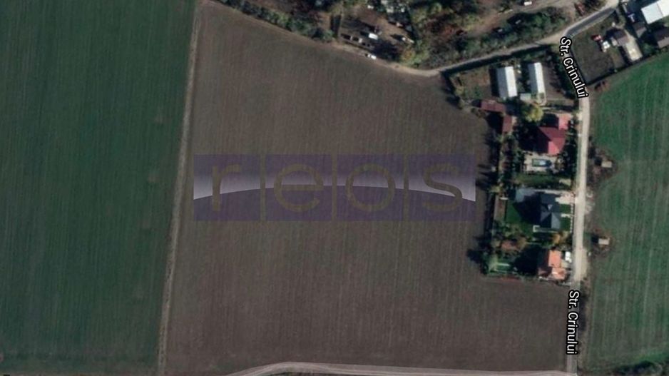 TEREN DE VANZARE 12760MP COMUNA DASCALU - Poză 1