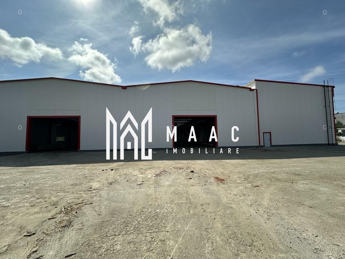 Hala producție I 6857 mp I Acces TIR I Pod Rulant I Mârșa - Poză 4