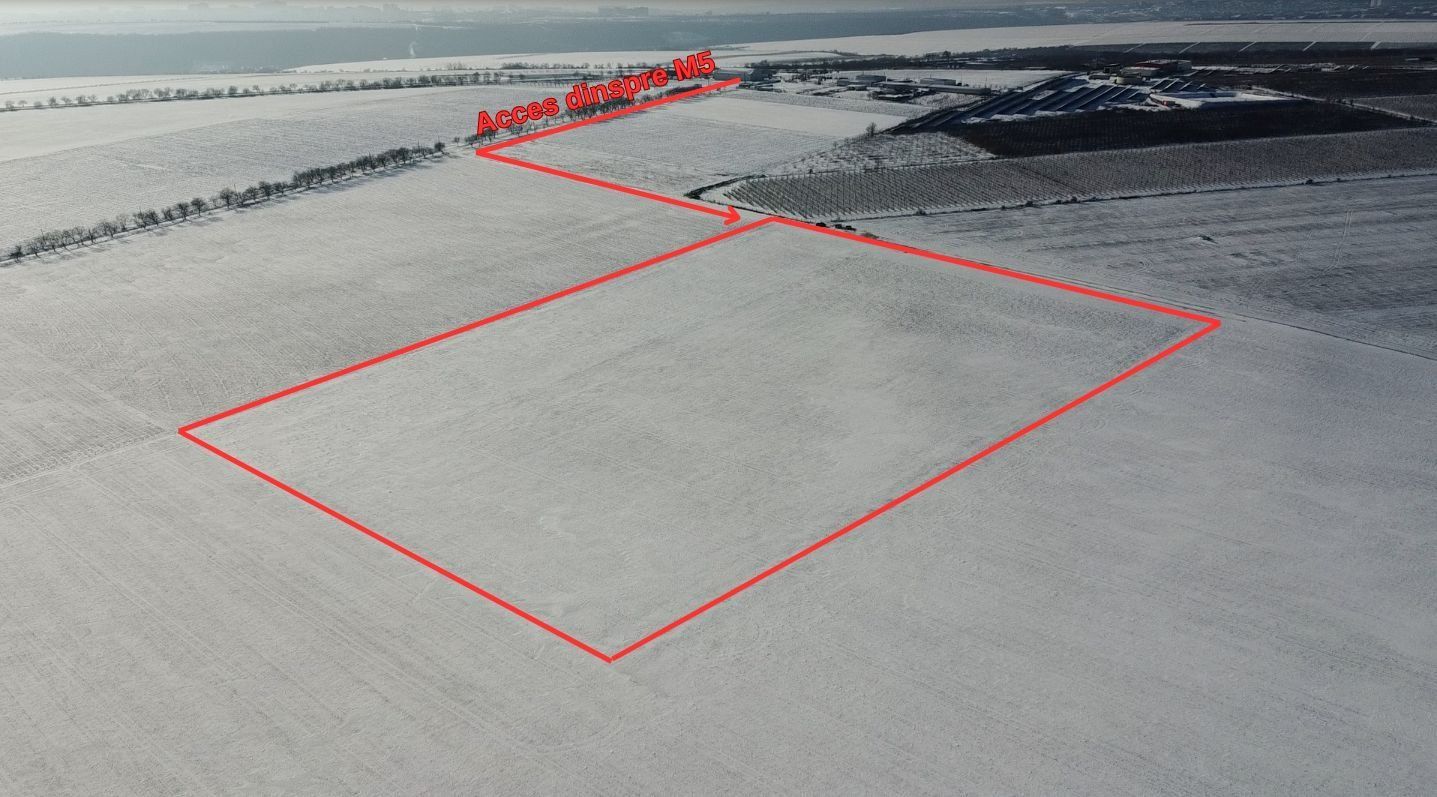 Teren Agricol 5.24 HA com. Cruzești mun. Chișinău - Poză 2