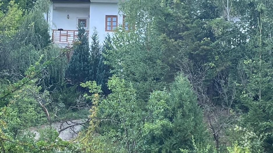 Duplex, Valenii de Munte, Drajna de Sus - Poză 15