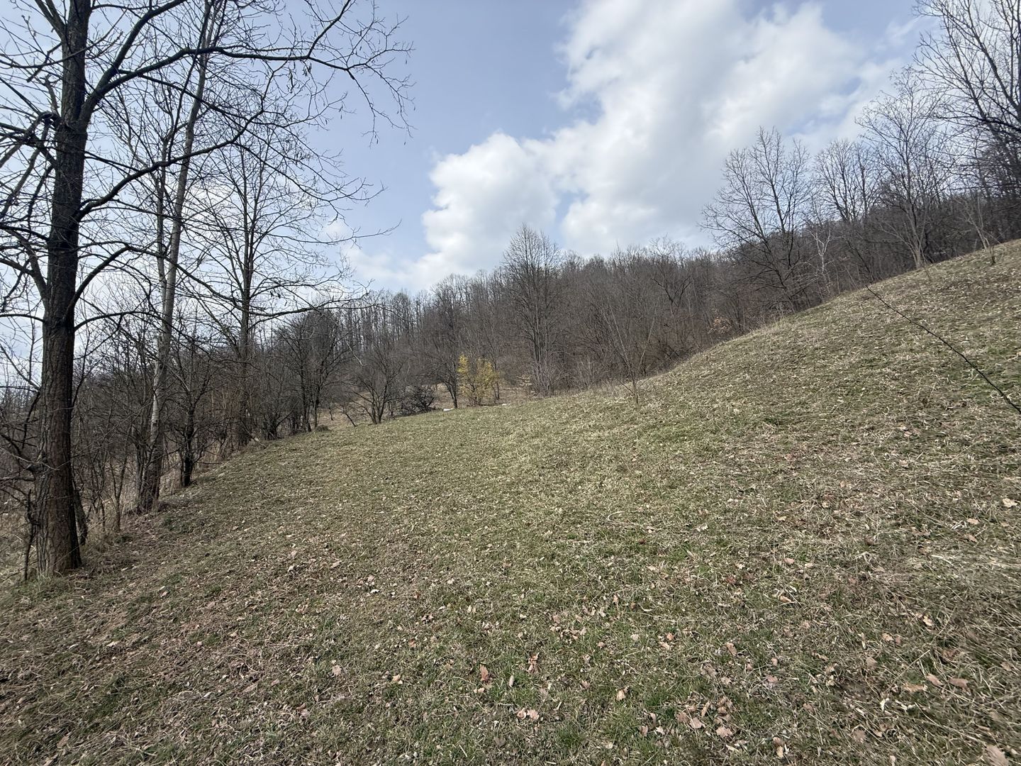 Teren 6040 mp la baza pădurii deschidere 40 ml - Poză 12