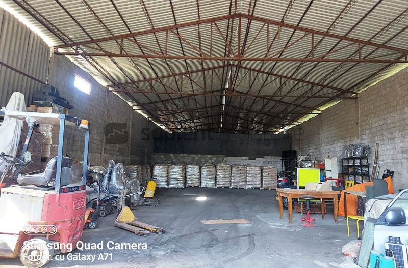 Hala ideala pentru depozitare str.Santaului - Poză 6
