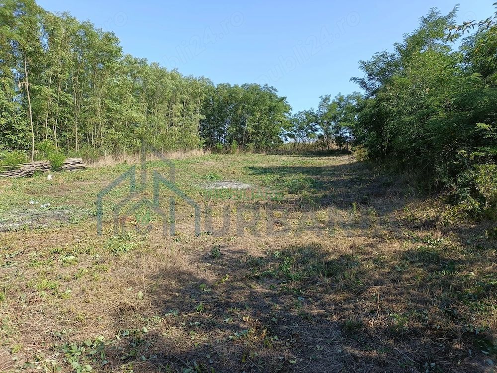 Casă renovată, Romanesti, Iași – 3 camere, 50 mp utili, teren 3240 mp - Poză 18