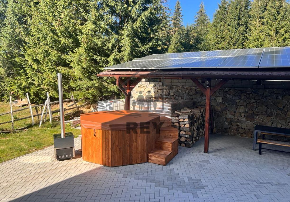 Casa/Vilă/Pensiune/GustHouse de închiriat Păltiniș - Poză 10