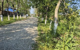 TEREN CU DESCHIDERE LA LAC / LA DOAR 100 M DE PADURE / UTILITATI - Poză 3