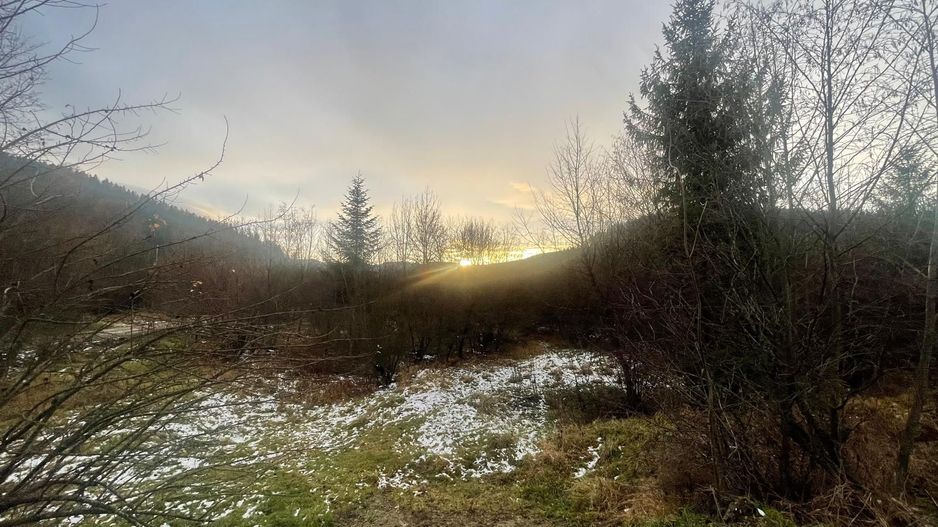 TEREN INTRAVILAN 2,26 HA | SUCEVITA | - Poză 3