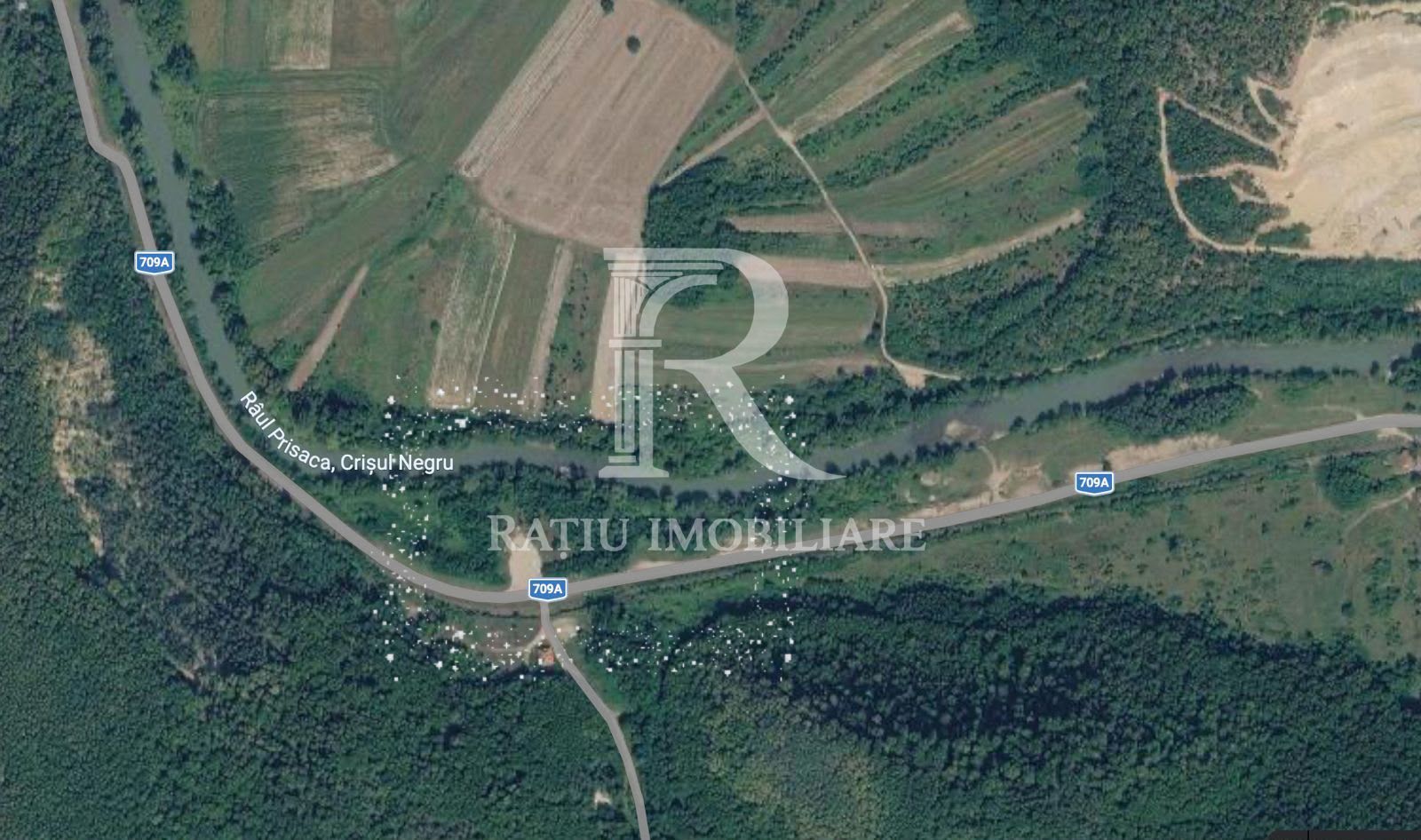 Teren Extravilan de vânzare | Șoimi | Bihor - Poză 3
