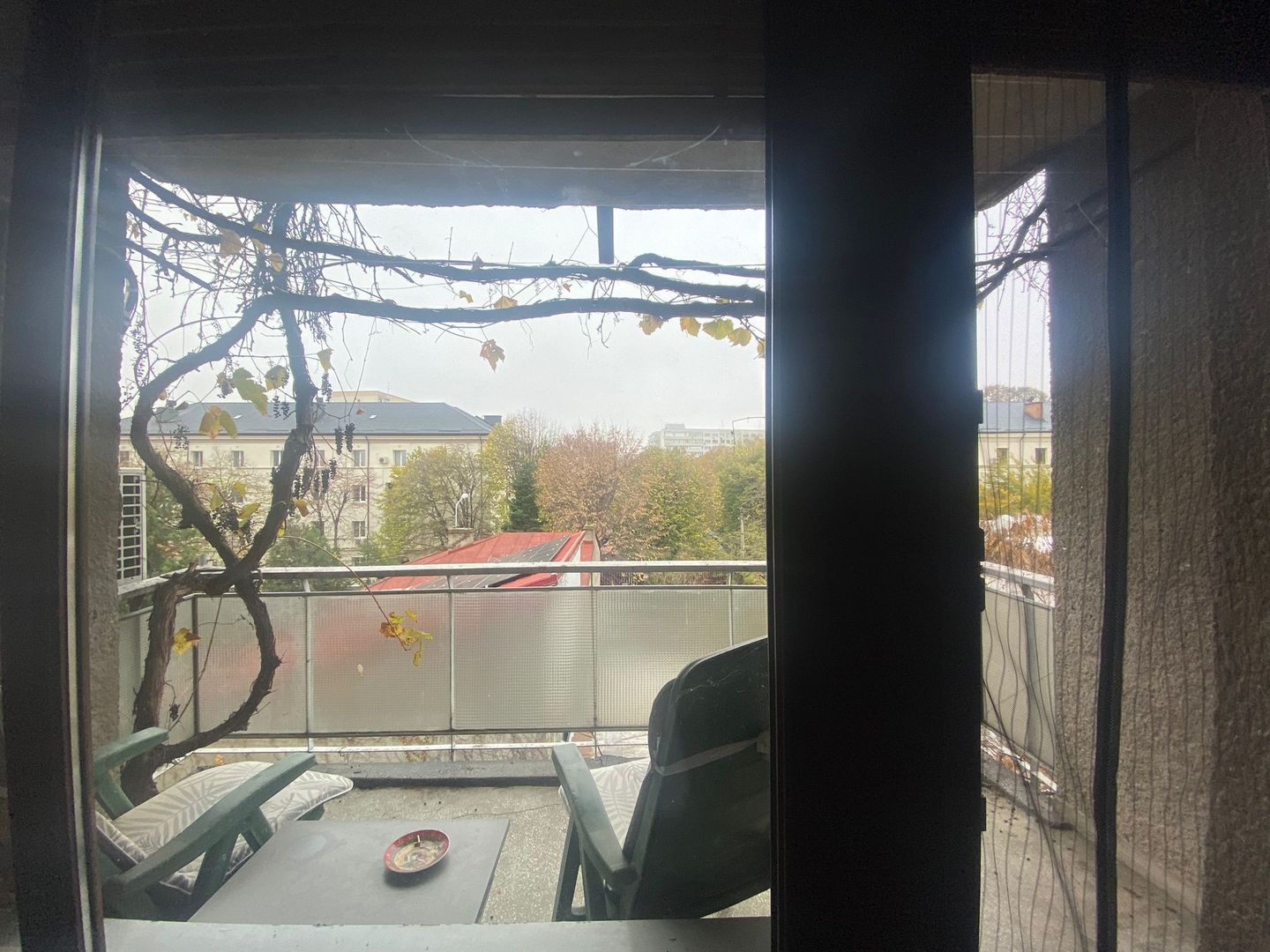 Apartament Vatra Luminoasa/Parcul Național - Poză 8