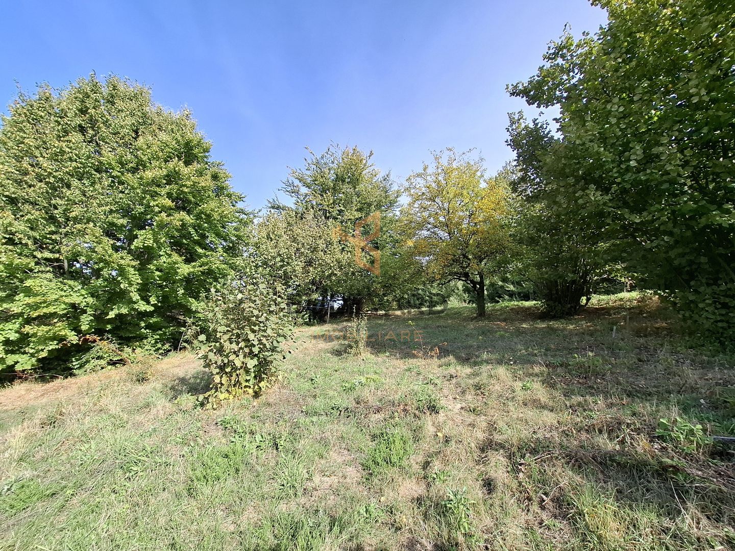 Comision 0. Teren cu autorizatie de construire in Salicea - Poză 4