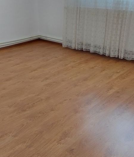 Casa comuna Berceni - Poză 2