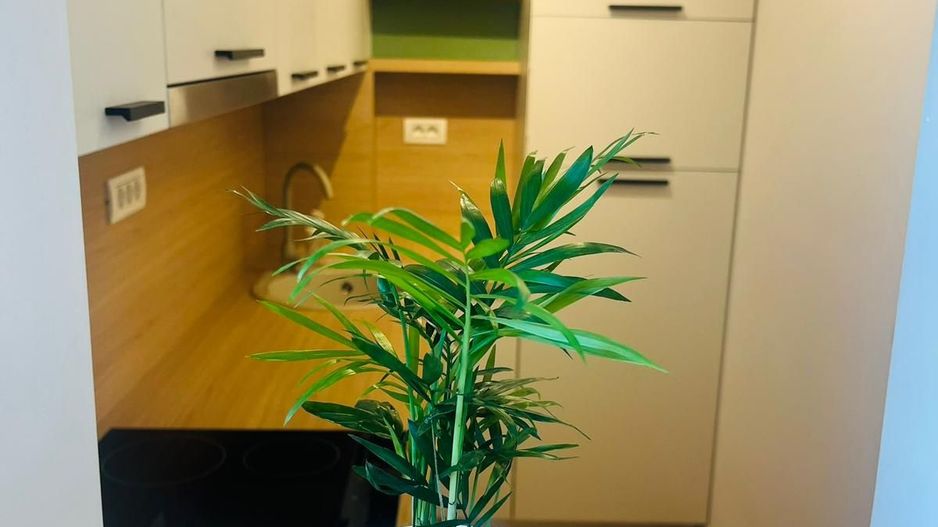 Apartament modern I Design nordic și confort I Zona Tipografilor - Poză 5