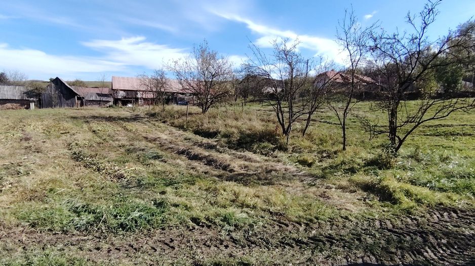 Teren intravilan 3.798 mp în Agnita, cu posibilitate de parcelare - Poză 6