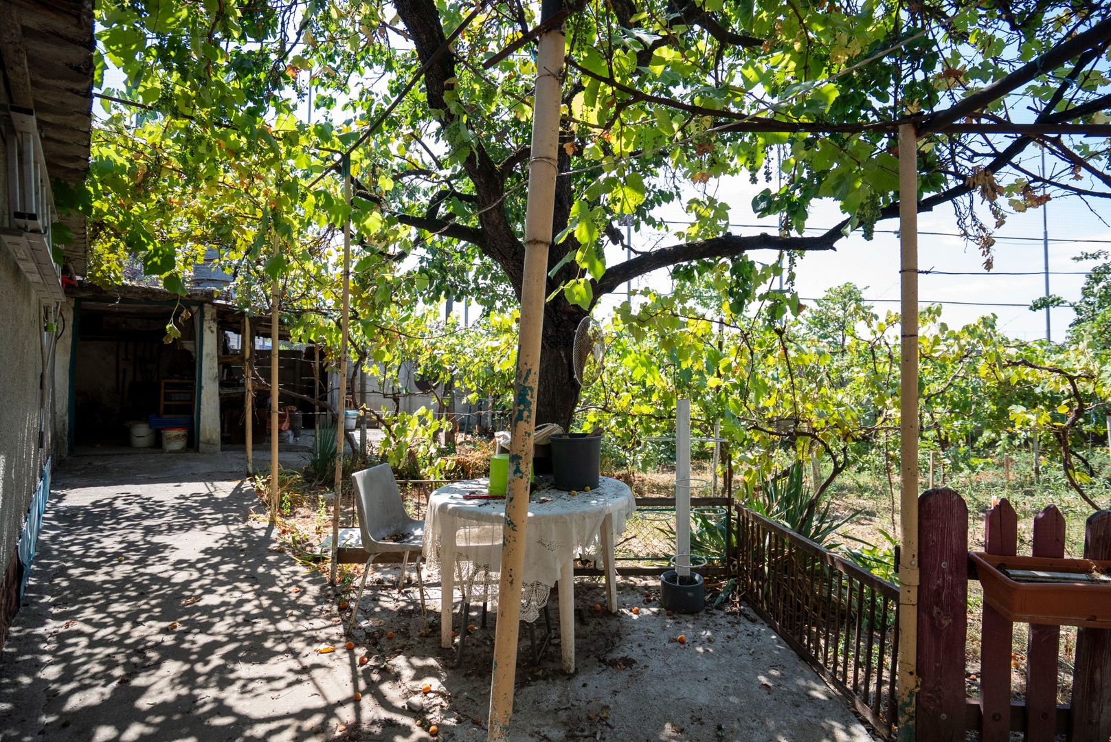 Casa cu 620 mp de teren in Rogerius - Poză 10