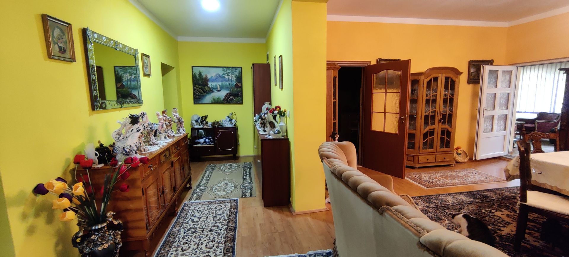 CASA INDIVIDUALA SI HALA CU TEREN  4000 MP - Poză 24