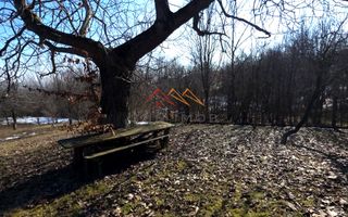 CASĂ INDIVIDUALĂ CU LIVADĂ | 2.195 MP TEREN | POIANA CÂMPINA - Poză 20