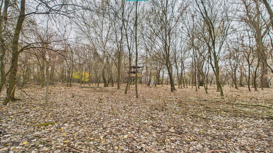 Teren pe malul Muresului- oportunitati multiple - Poză 31