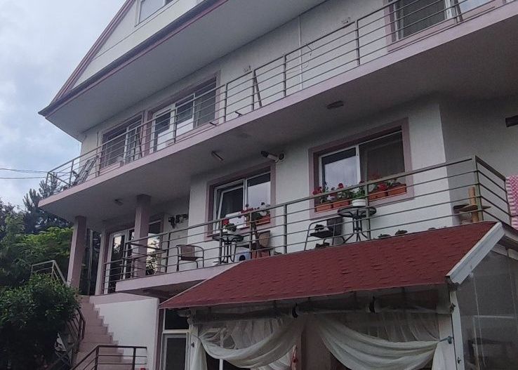 Casă/ Vila, 2008, 700mp, 1000mp D(P) + 2 + Pod - Poză 4