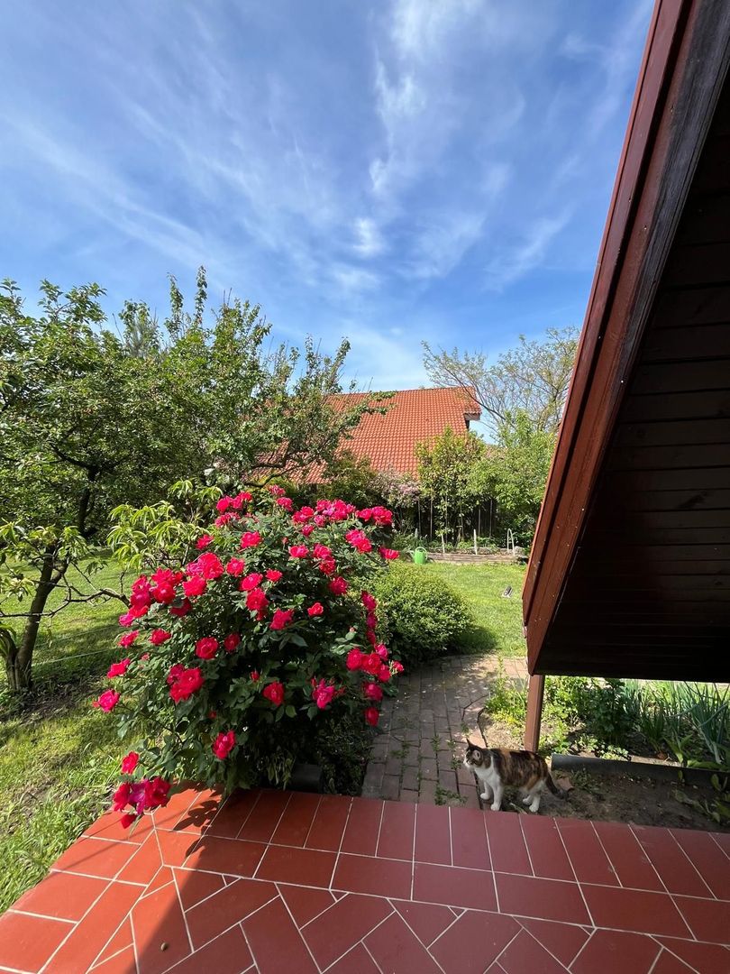 Casă elegantă, spațioasă, ideală pentru familie – Sanmihaiu Roman - Poză 26