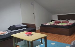 Apartament cu o cameră / Mansardă/ 45 mp/ confort lux/ utilată - Poză 1