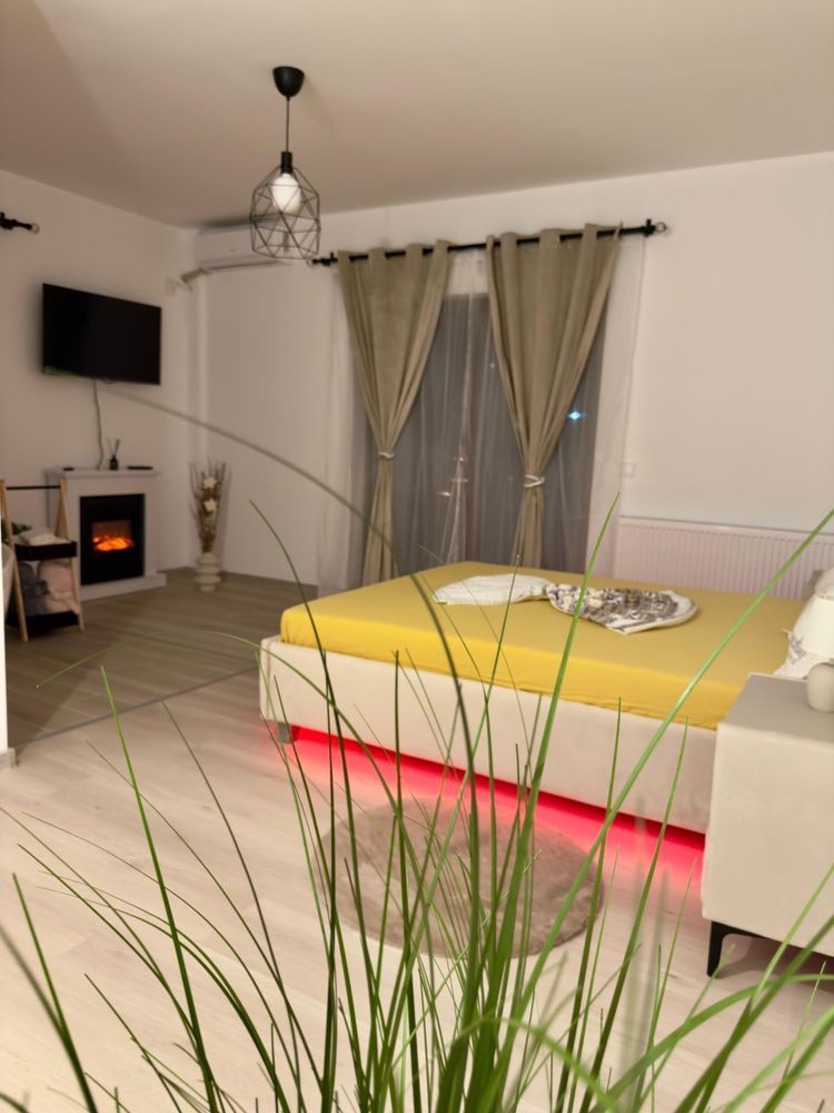 Garsoniera de inchiriat zona Damila Ford - Poză 3