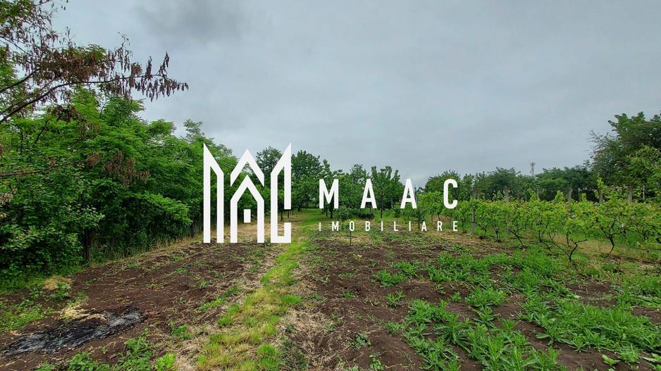 Casa | 1331 mp Teren | Miercurea Sibiului | - Poză 9