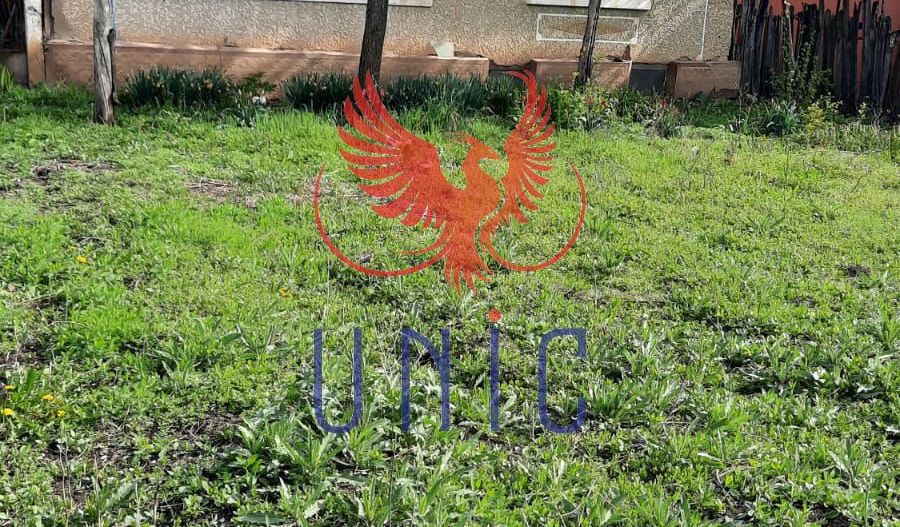 Casa cu teren de 1969 mp - Amarastii de Jos - Poză 2