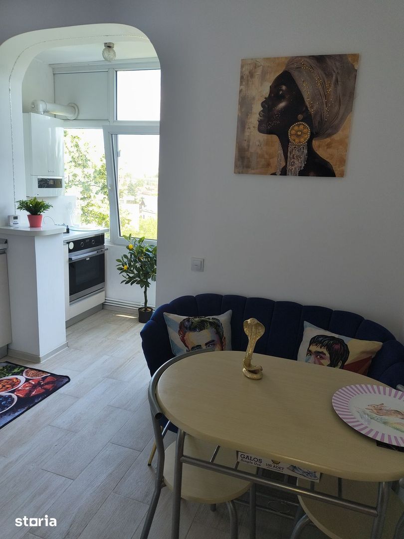 Apartament Ion Mihalache // Domenii - Poză 5