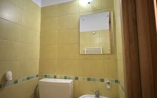3 camere open space, Marasti, Dorobantilor, Lidl, OMV, Pet Friendly - Poză 8