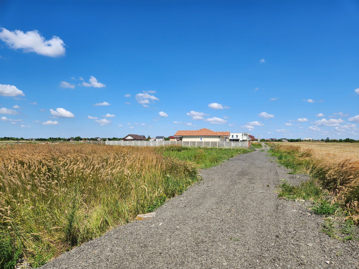 PUZ rezidential /servicii de vanzare Sacalaz - Poză 2