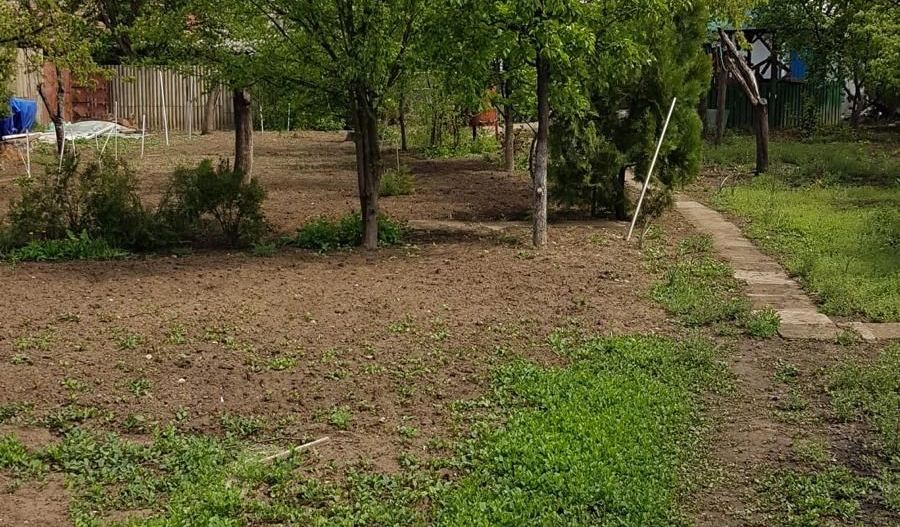 Teren 2.600 mp, utilități, Str. Merișor – Giurgiu - Poză 7