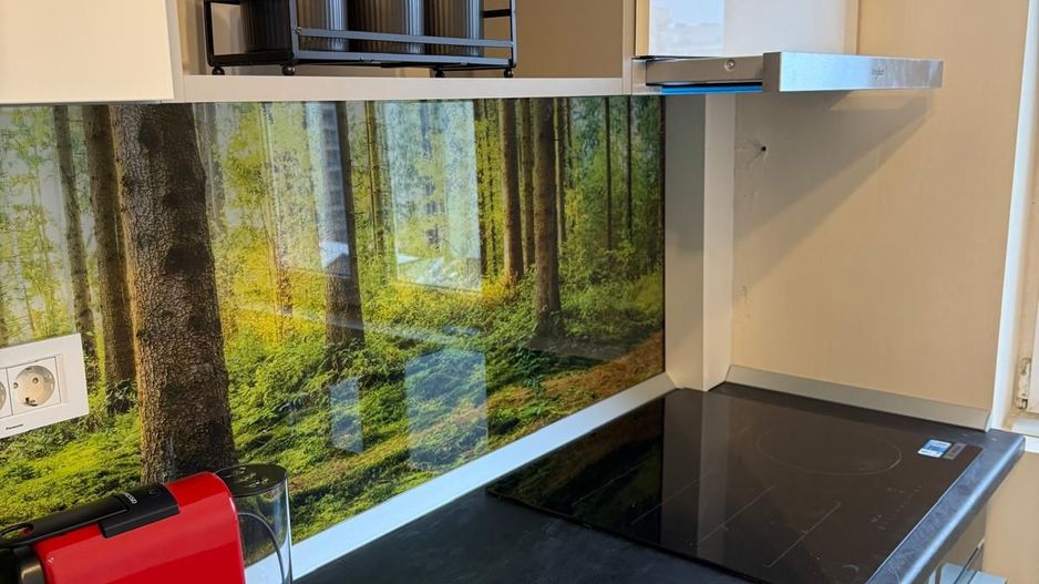 Apartament 3 camere Obor - Poză 13