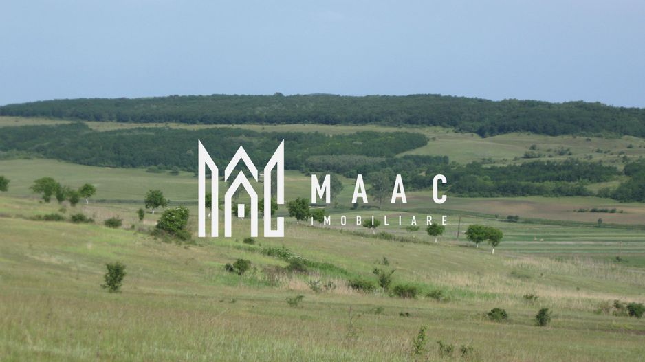 Teren extravilan de vânzare | Apoldu de Jos | 26.258 mp - Poză 5