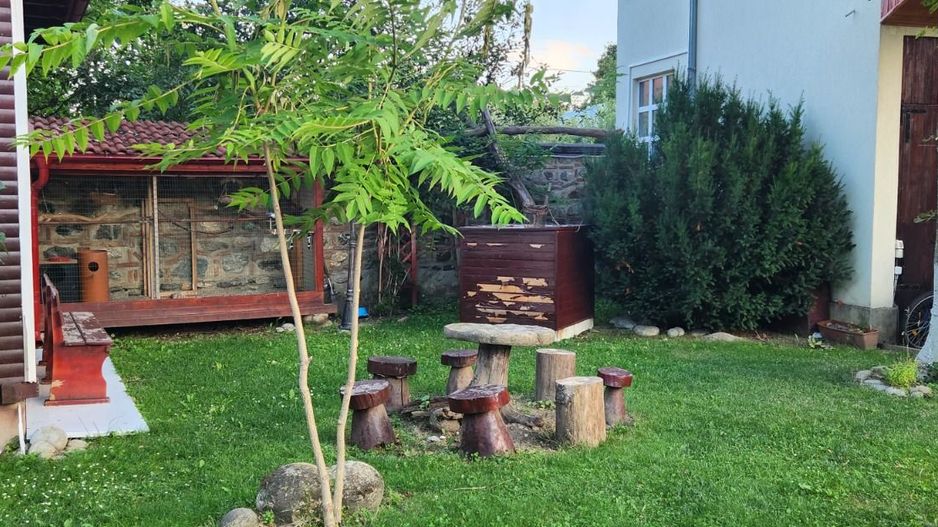 Vila Horezu Romanii de Jos - Poză 28